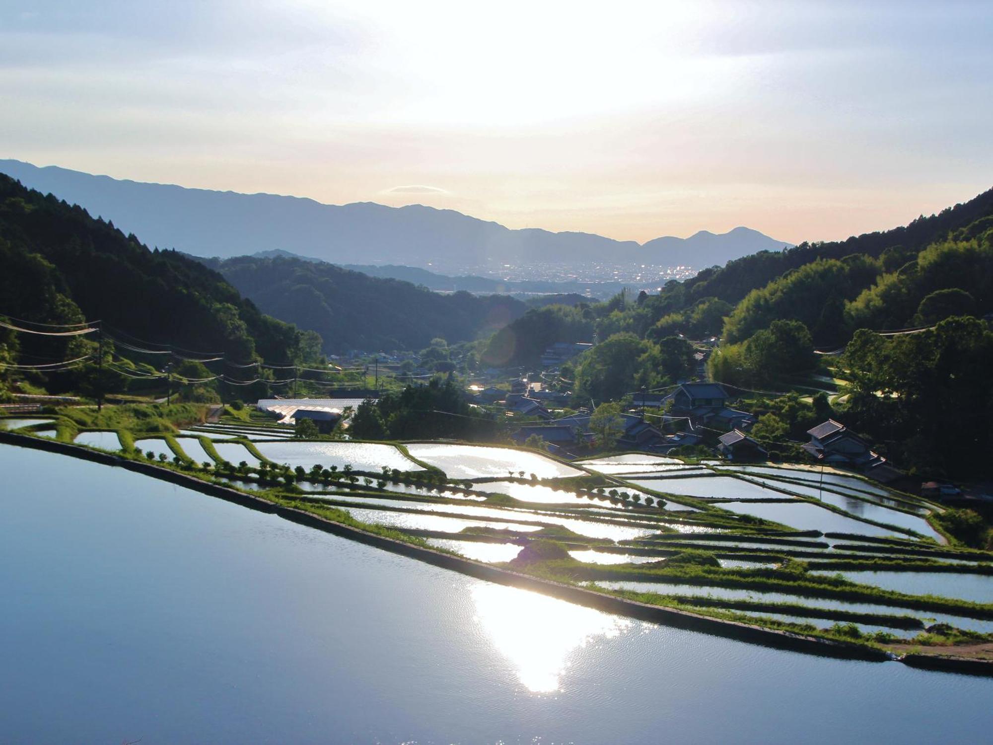 Grand Mercure Nara Kashihara Kashihara  Exterior photo